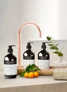 Anne Semonin Amenities