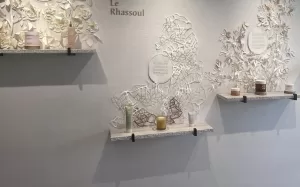 marocMaroc retail shelf display with Le Rhassoul and L'Argan products against paper floral wall art